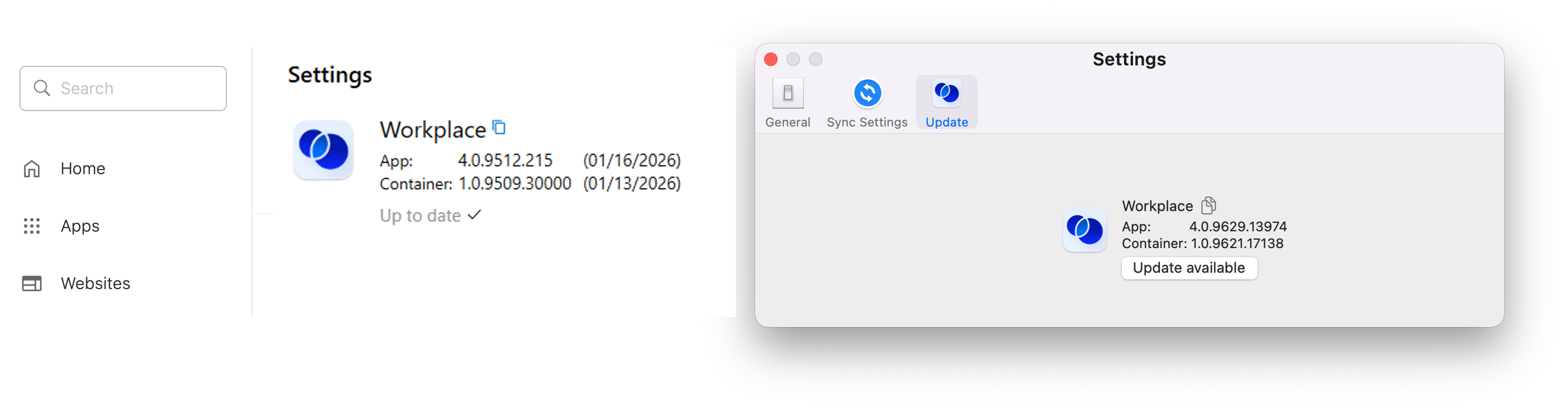 Settings_Check for Update.png